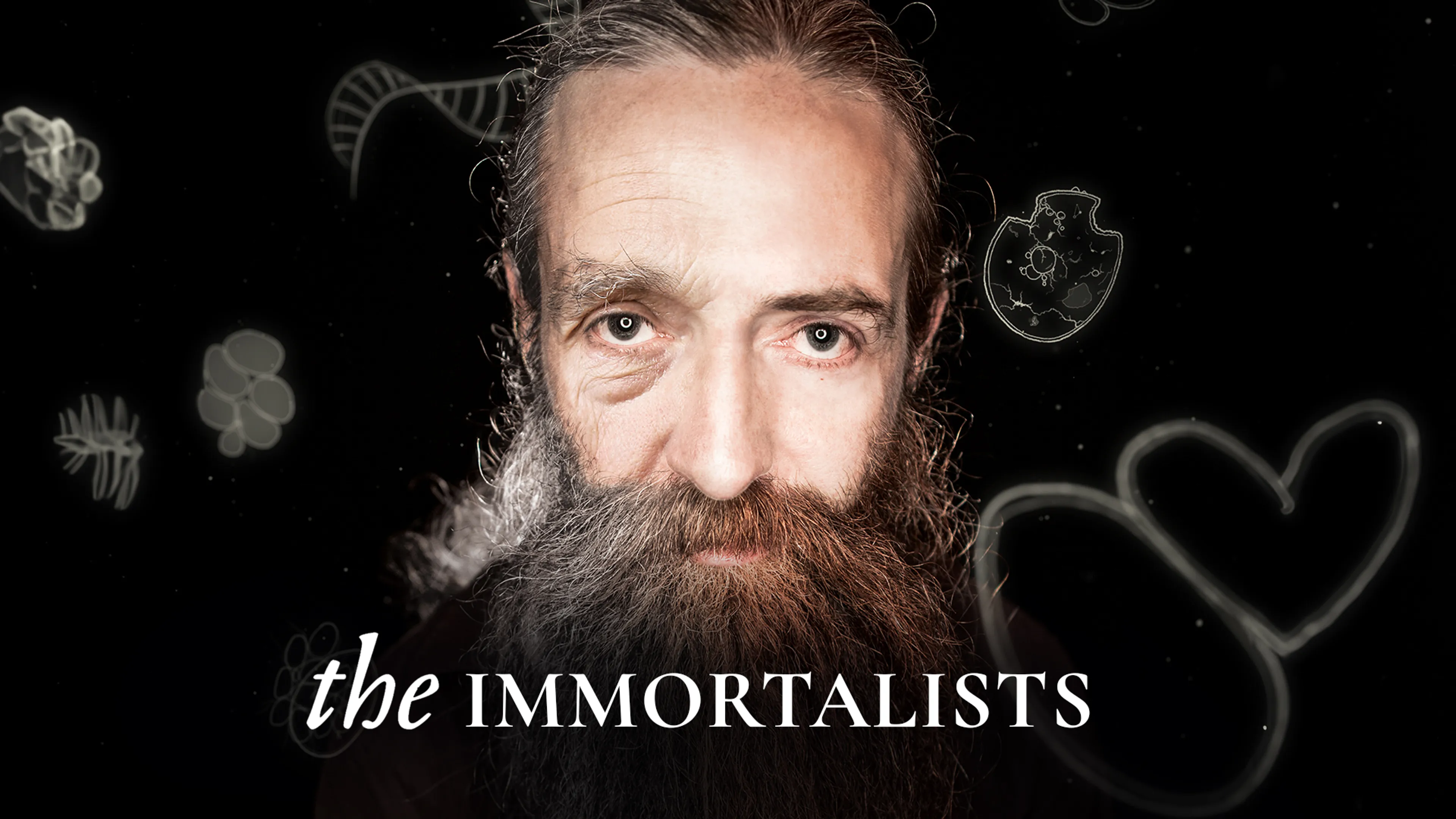 The Immortalists poster